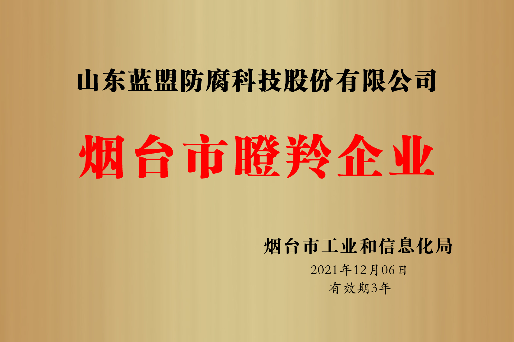煙臺市瞪羚企業