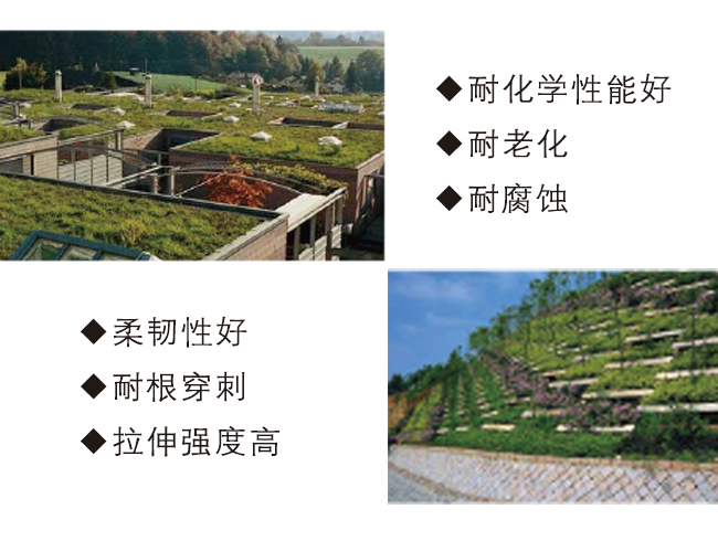 化學阻根（種植屋面）耐根穿刺防水卷材
