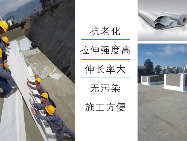 熱塑性聚烯烴(TPO)防水卷材 TPO防水卷材 熱塑性聚烯烴(TPO)防水卷材 TPO防水卷材